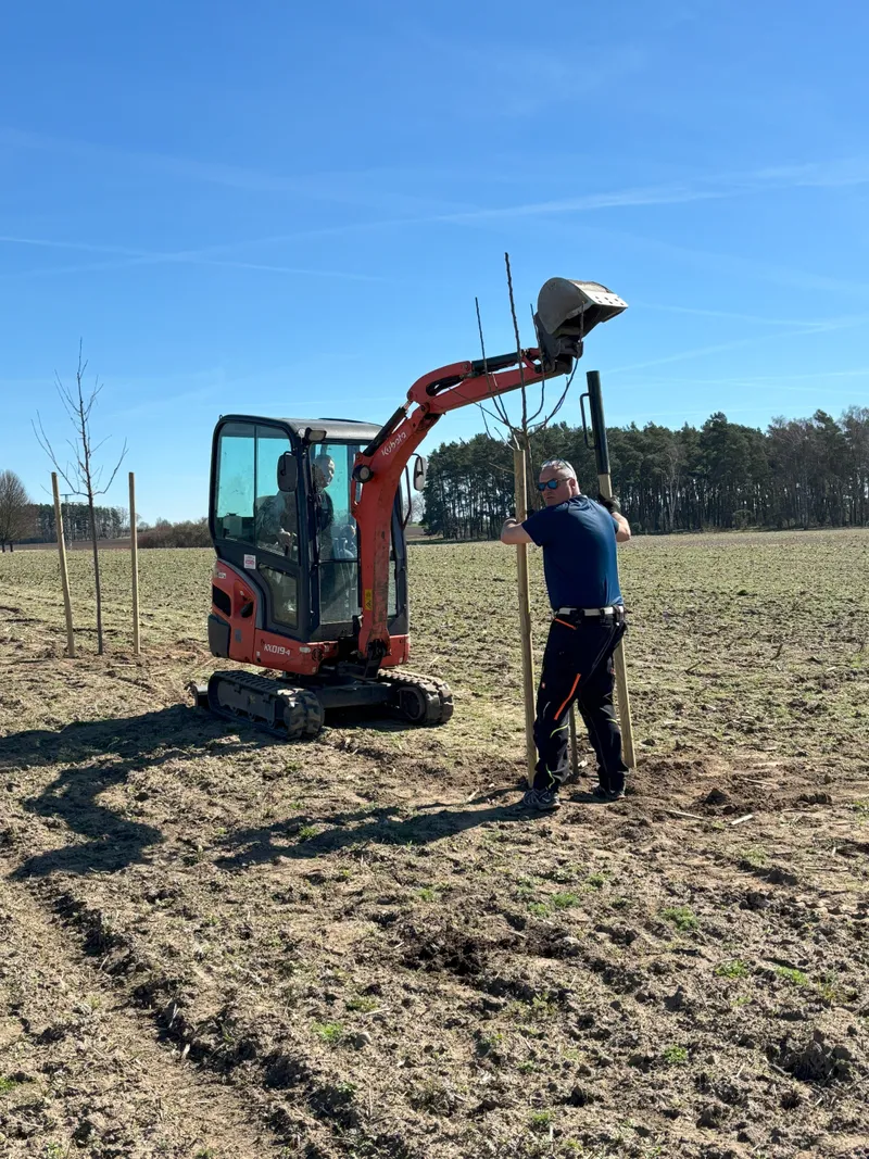 Ein Mann mit einem Bagger pflanzt Bäume auf einem Feld unter blauem Himmel.